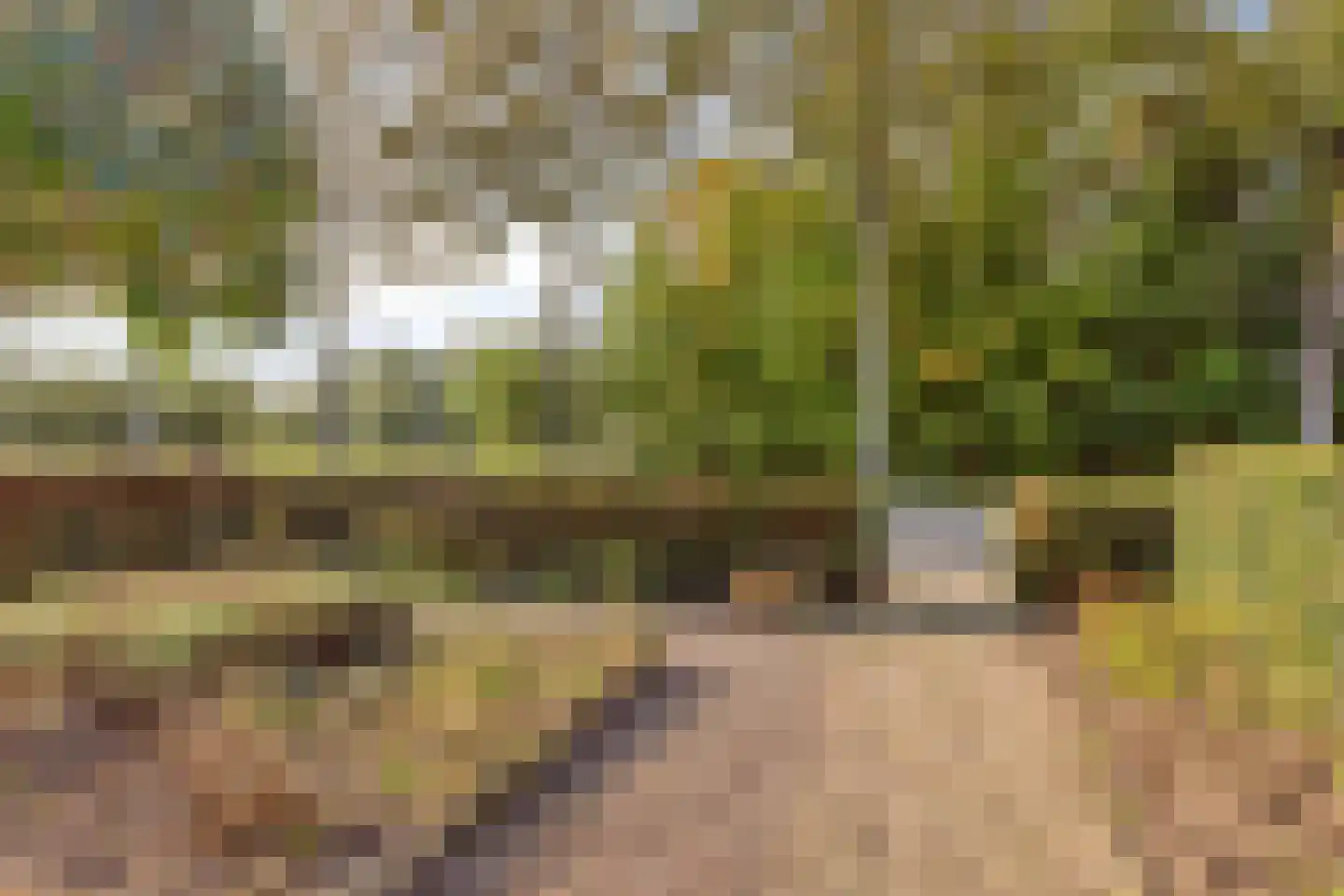 Crobseweg 12 Haaften thumbnail 7