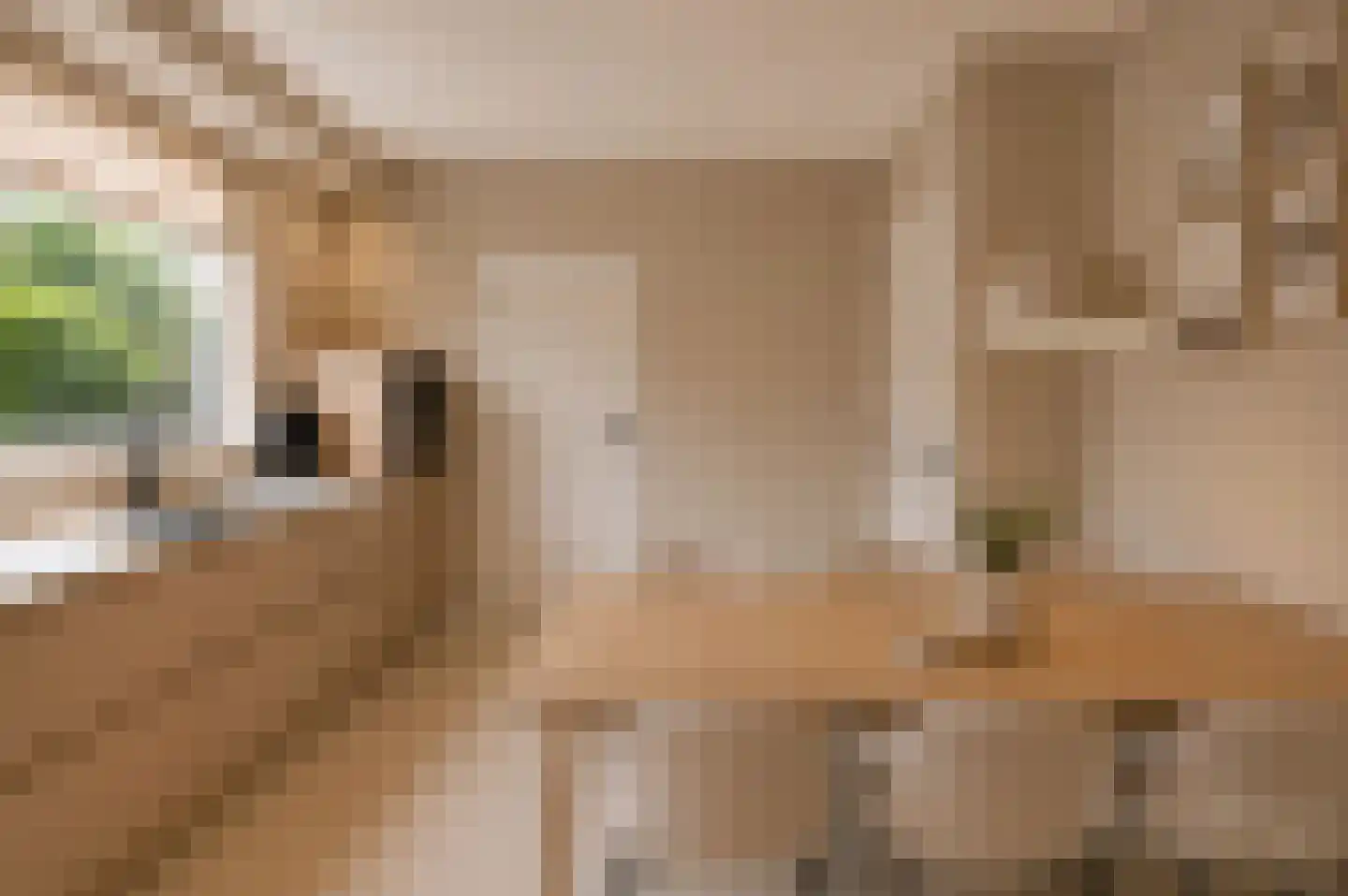 Crobseweg 20 Haaften thumbnail 18