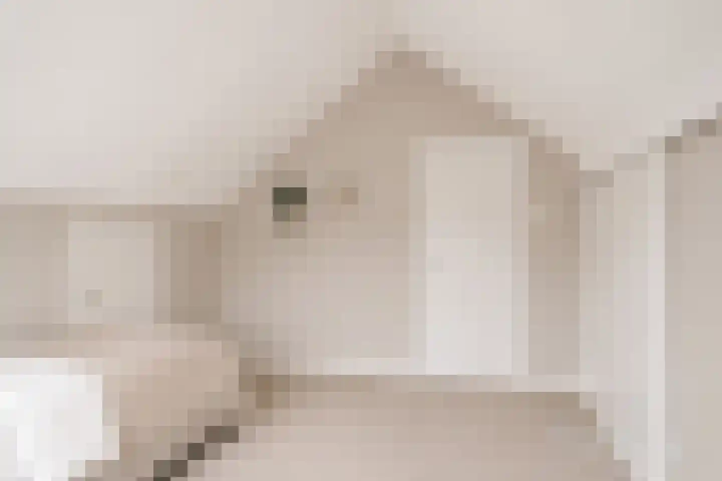 Crobseweg 20 Haaften thumbnail 36