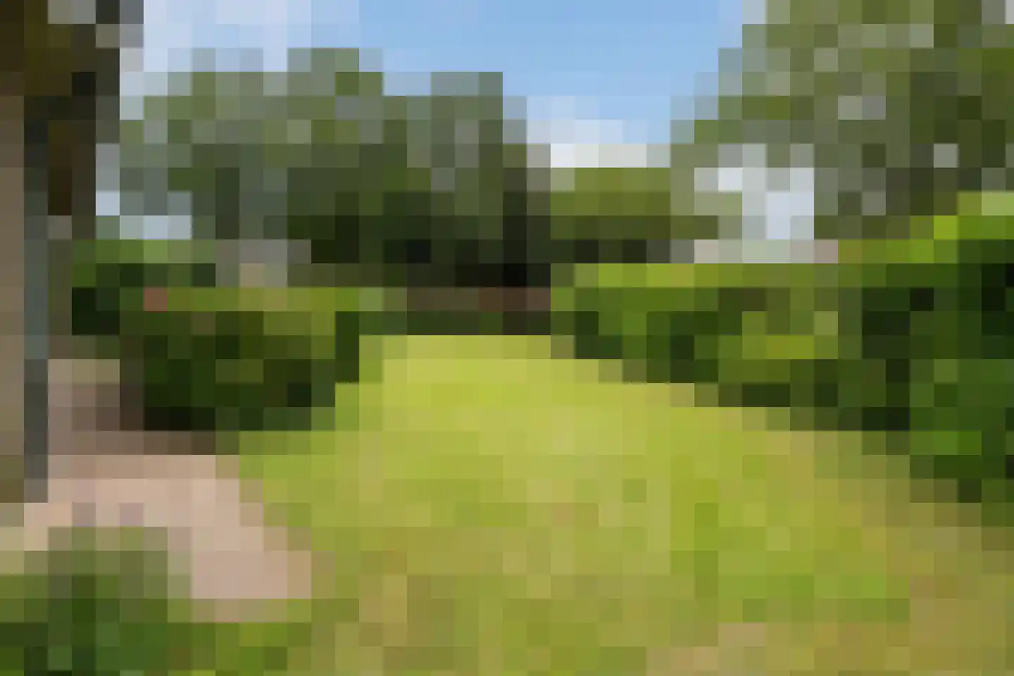 Crobseweg 20 Haaften thumbnail 41