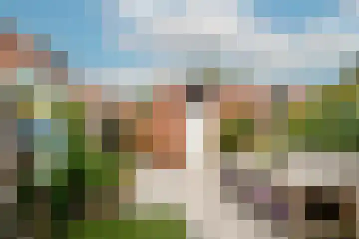 Crocus 18 Naaldwijk thumbnail 10