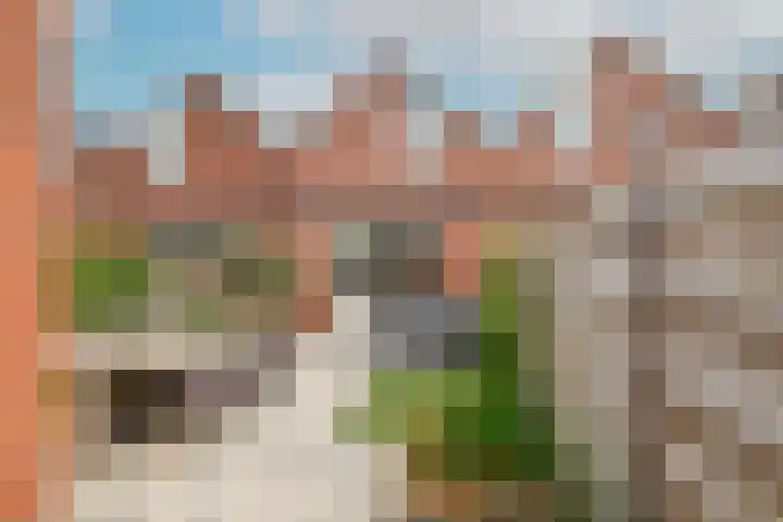 Crocus 18 Naaldwijk thumbnail 13