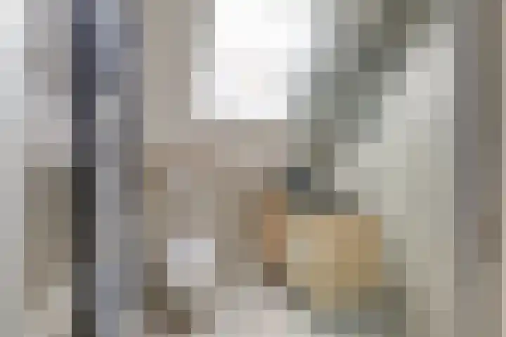 Crocus 18 Naaldwijk thumbnail 20