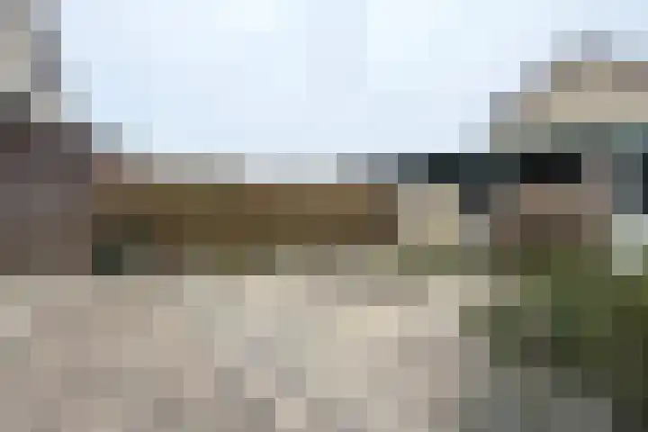 Crocus 18 Naaldwijk thumbnail 21