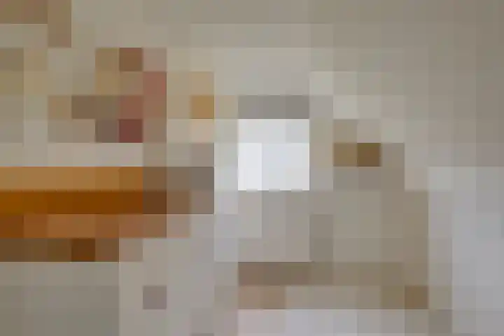 Crocus 18 Naaldwijk thumbnail 22