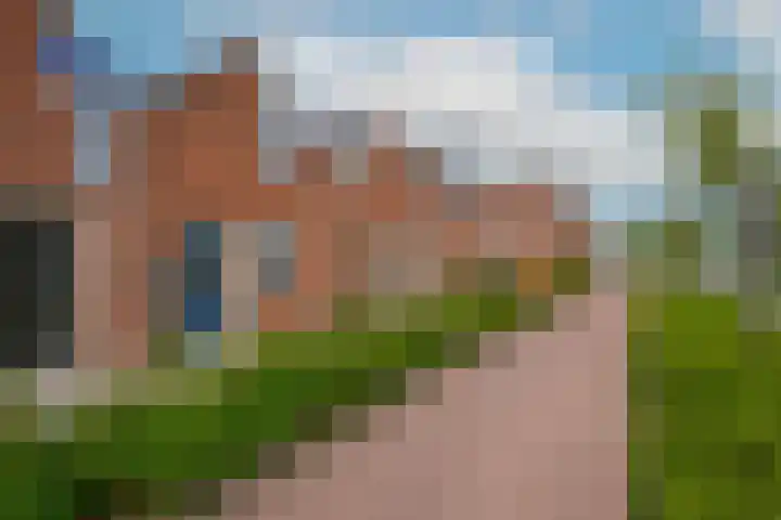 Crocus 18 Naaldwijk thumbnail 25