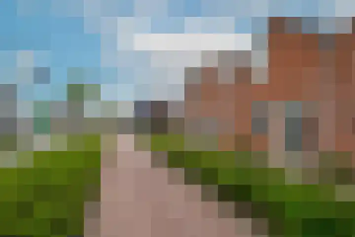Crocus 18 Naaldwijk thumbnail 26
