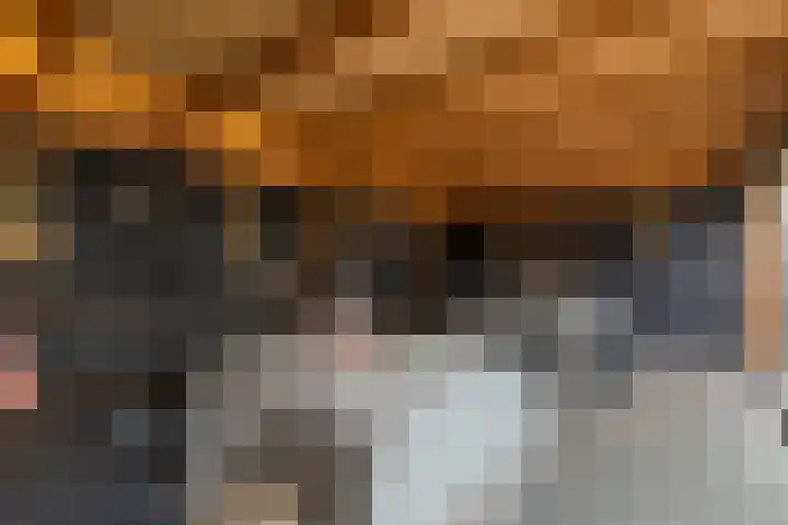 Crocus 18 Naaldwijk thumbnail 29