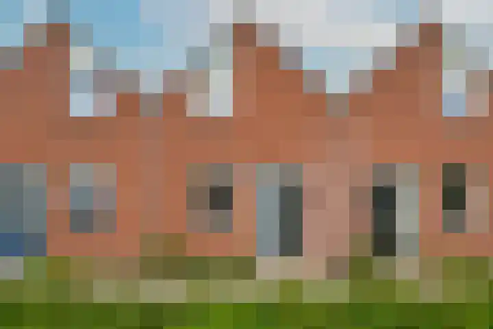 Crocus 18 Naaldwijk thumbnail 30