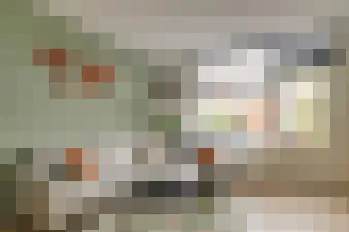 Crocus 18 Naaldwijk thumbnail 8