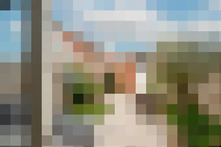 Crocus 18 Naaldwijk thumbnail 9