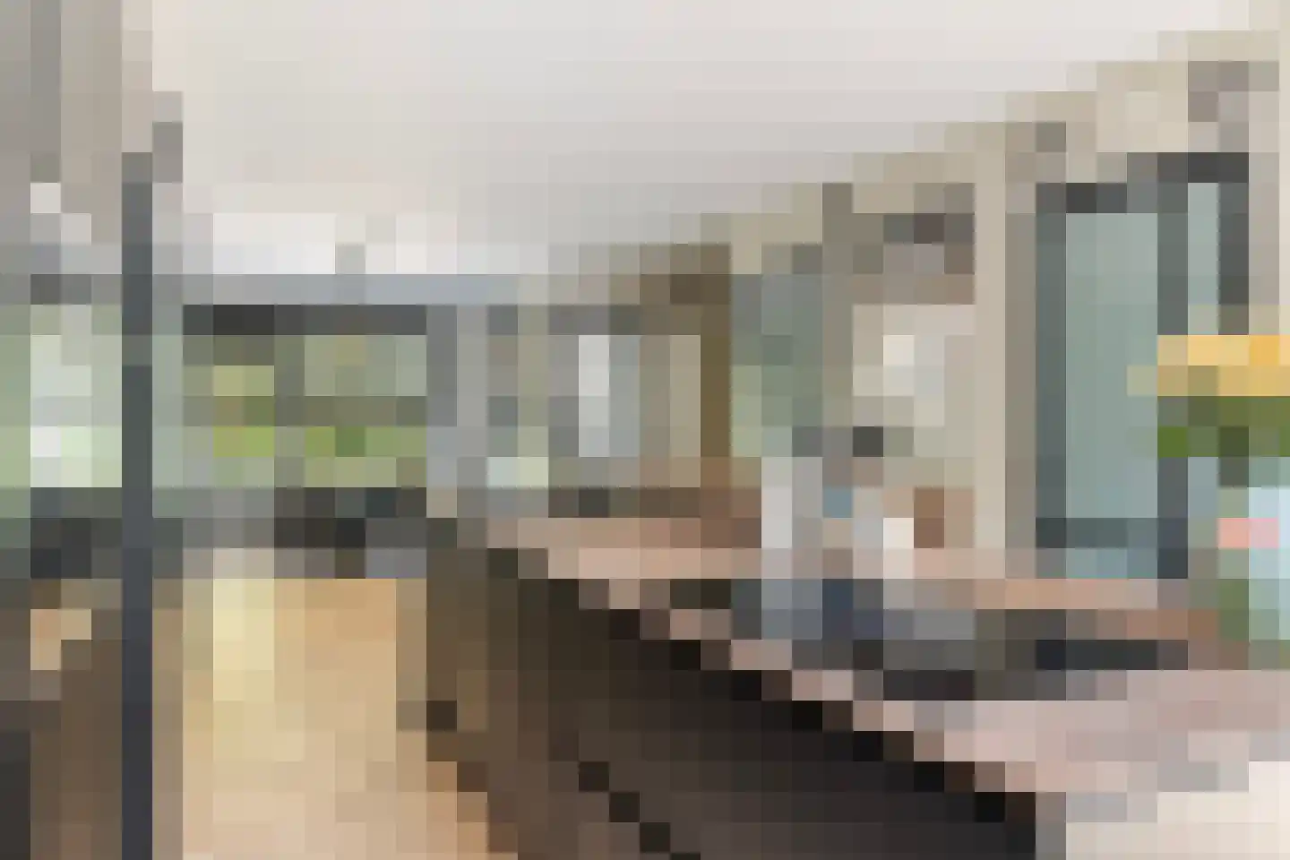 Crocuserf 18 's-Gravendeel thumbnail 12