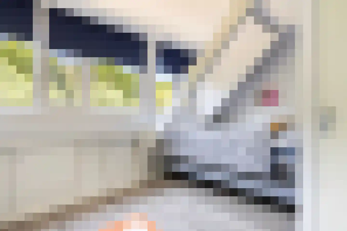 Crocuserf 18 's-Gravendeel thumbnail 22