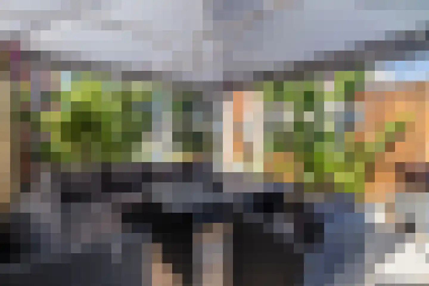 Crocuserf 18 's-Gravendeel thumbnail 28