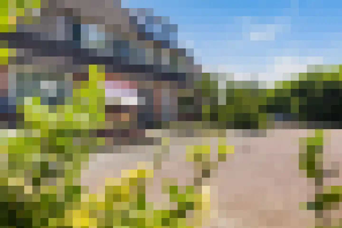 Crocuserf 18 's-Gravendeel thumbnail 30