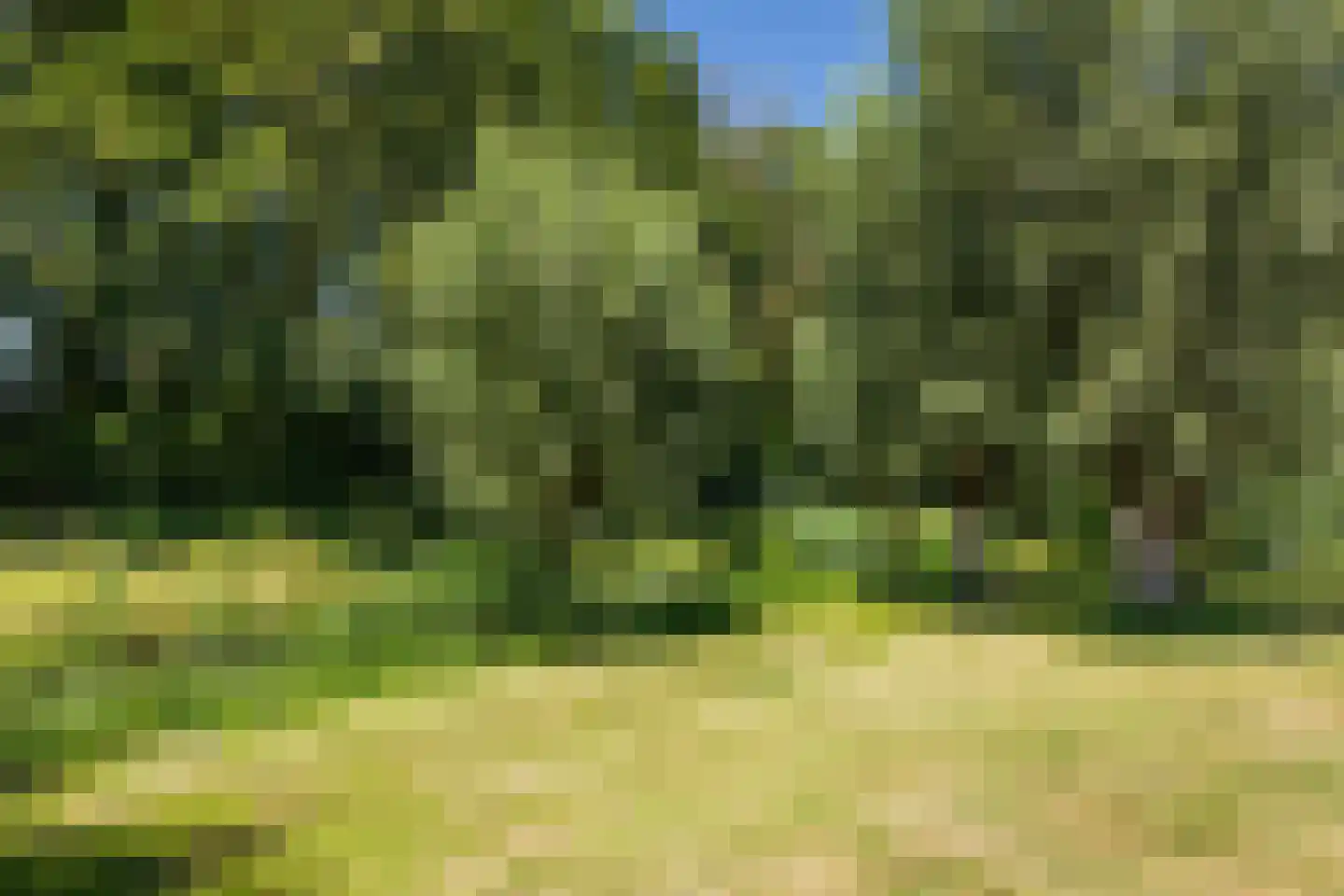Crocuserf 18 's-Gravendeel thumbnail 32