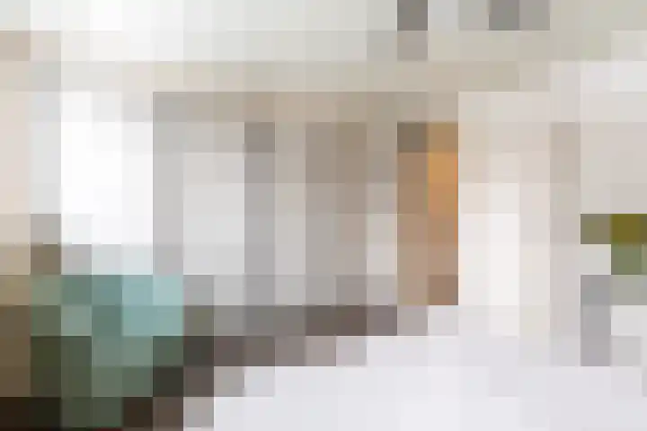 Crocuserf 42 's-Gravendeel thumbnail 18