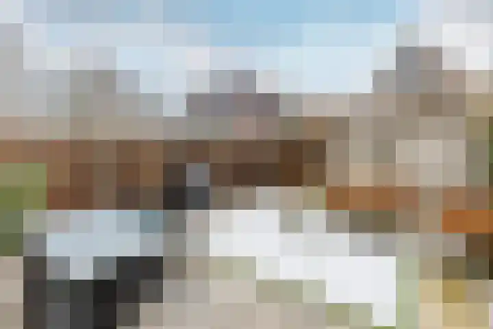 Crocuserf 42 's-Gravendeel thumbnail 26