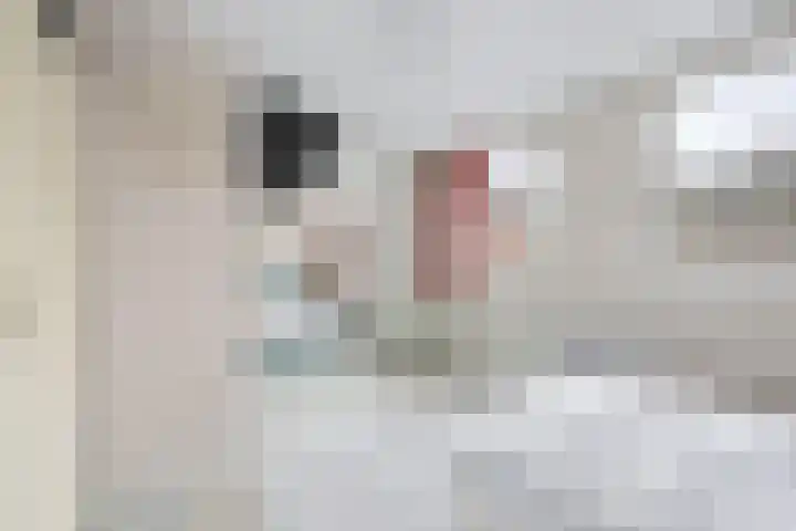 Crocuserf 48 's-Gravendeel thumbnail 18