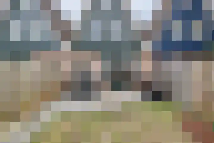 Crocuserf 48 's-Gravendeel thumbnail 30