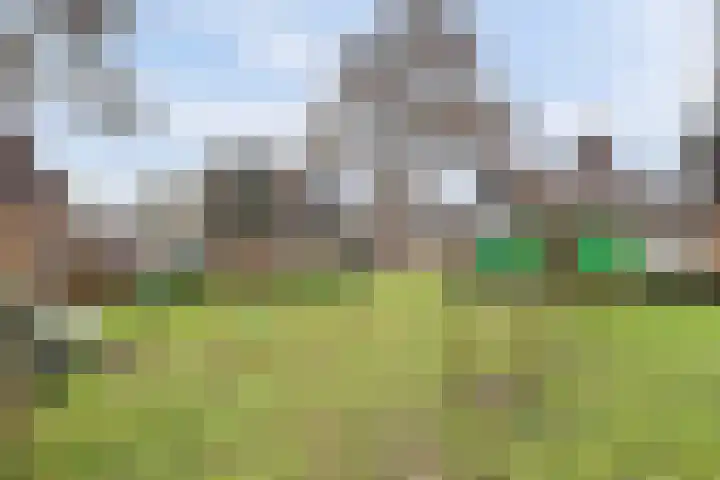 Crocuserf 48 's-Gravendeel thumbnail 33