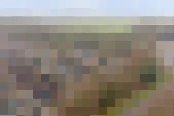 Crocuserf 48 's-Gravendeel thumbnail 36