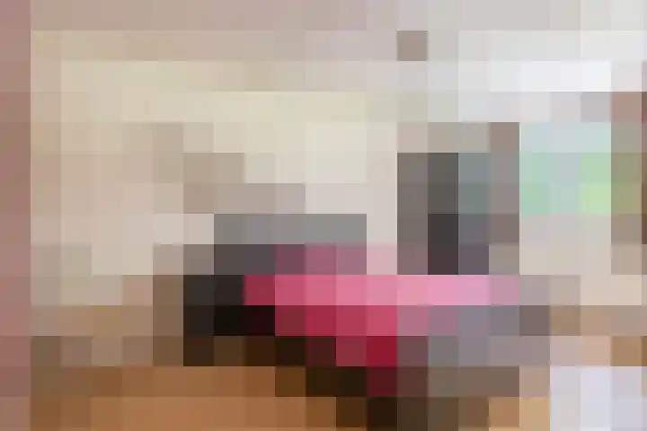 Crocushof 12 Schijndel thumbnail 12