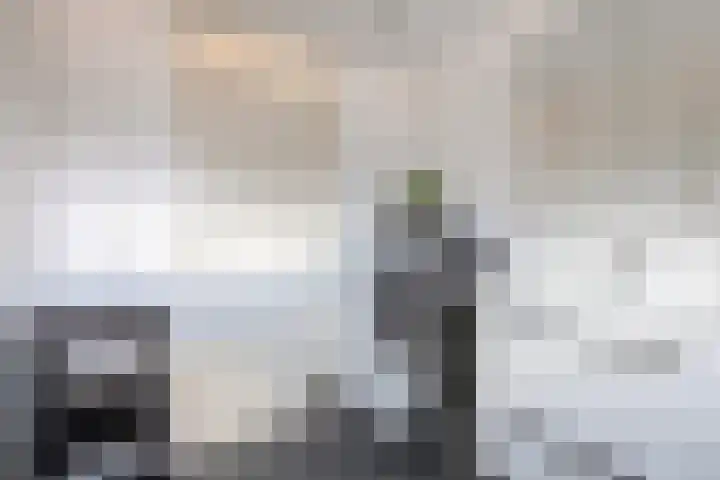 Crocushof 12 Schijndel thumbnail 18