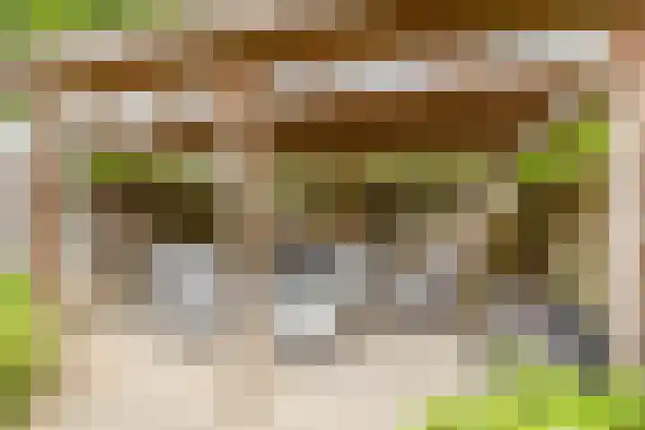 Crocushof 12 Schijndel thumbnail 23