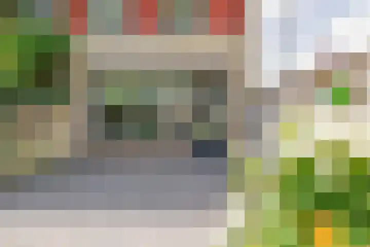 Crocushof 12 Schijndel thumbnail 24