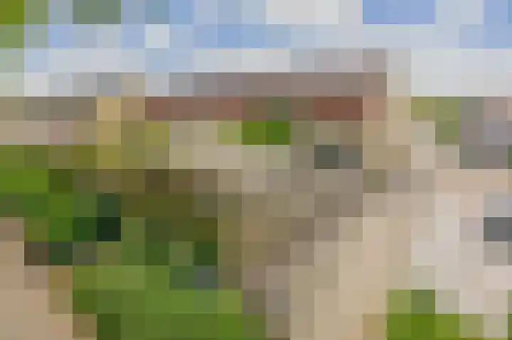 Crocushof 12 Schijndel thumbnail 26