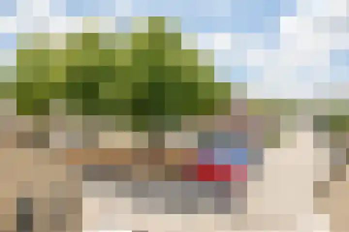 Crocushof 12 Schijndel thumbnail 27