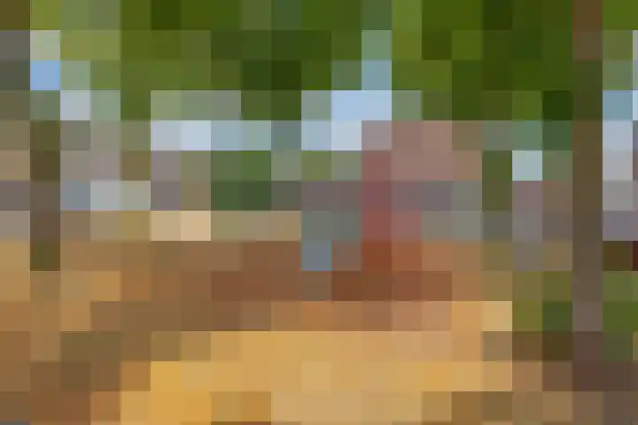 Crocushof 12 Schijndel thumbnail 28