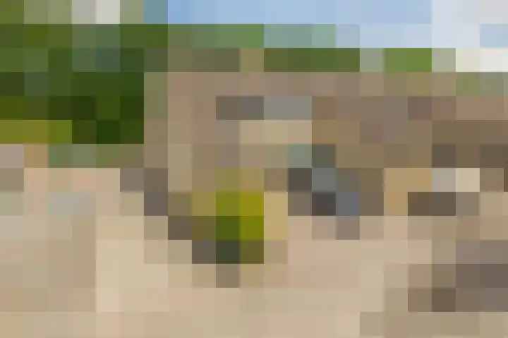 Crocushof 12 Schijndel thumbnail 29