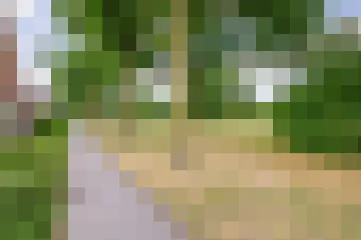 Crocushof 12 Schijndel thumbnail 31