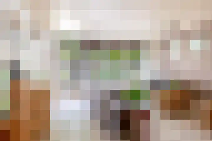 Crocushof 12 Schijndel thumbnail 4