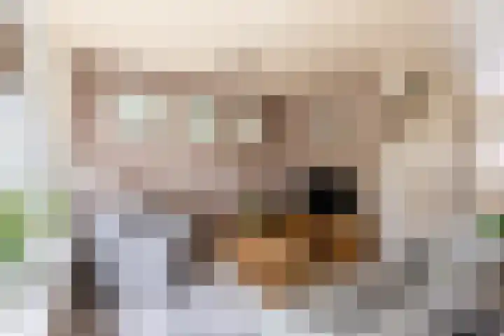 Crocushof 12 Schijndel thumbnail 5