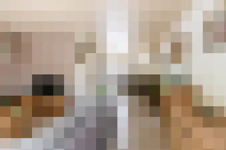 Crocushof 12 Schijndel thumbnail 6