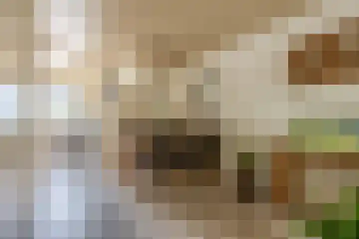 Crocushof 12 Schijndel thumbnail 7