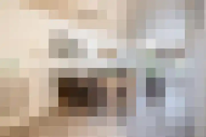 Crocushof 12 Schijndel thumbnail 8