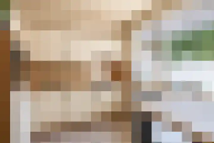 Crocushof 12 Schijndel thumbnail 9