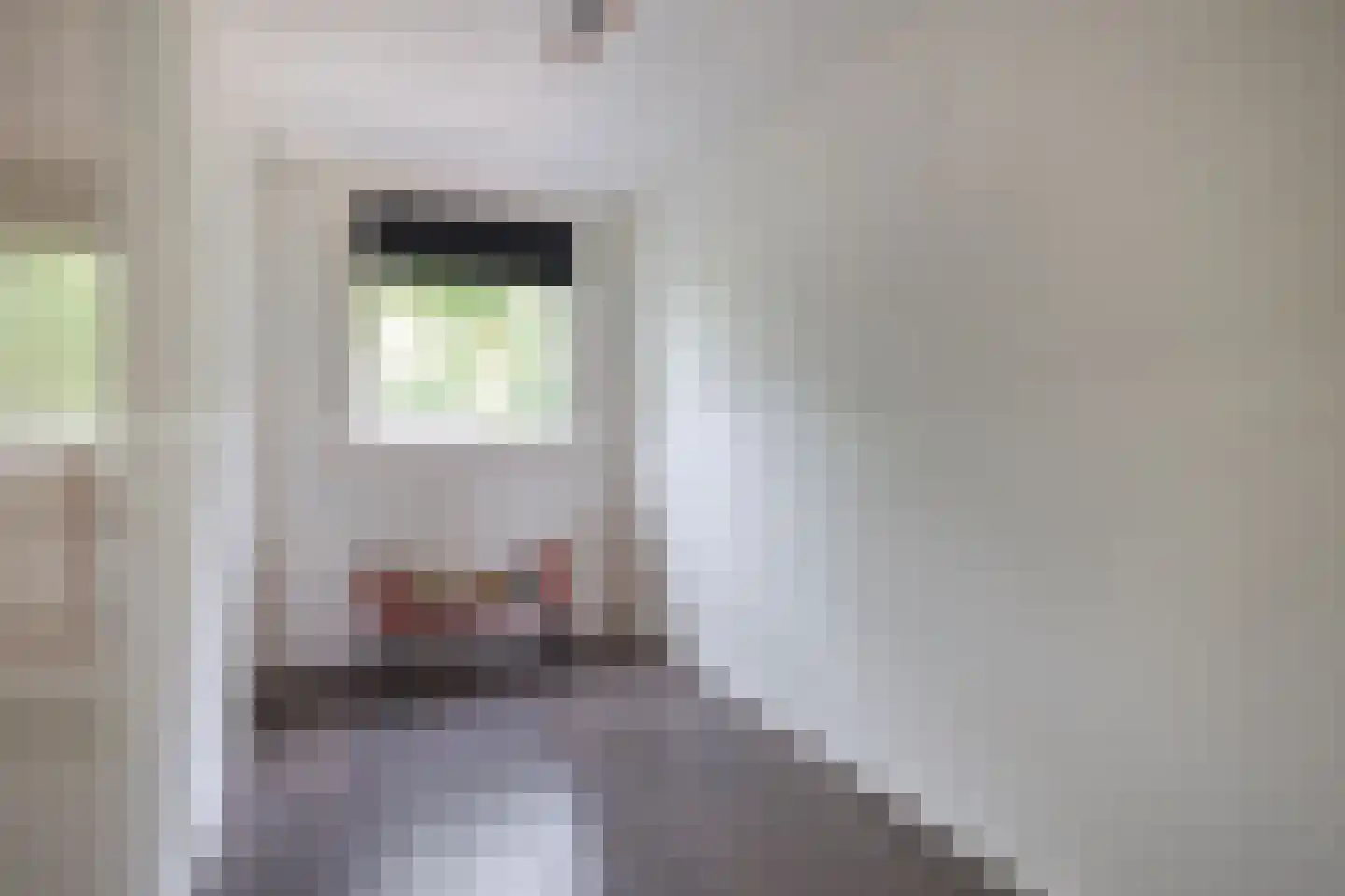 Crocushof 21 Schijndel thumbnail 18