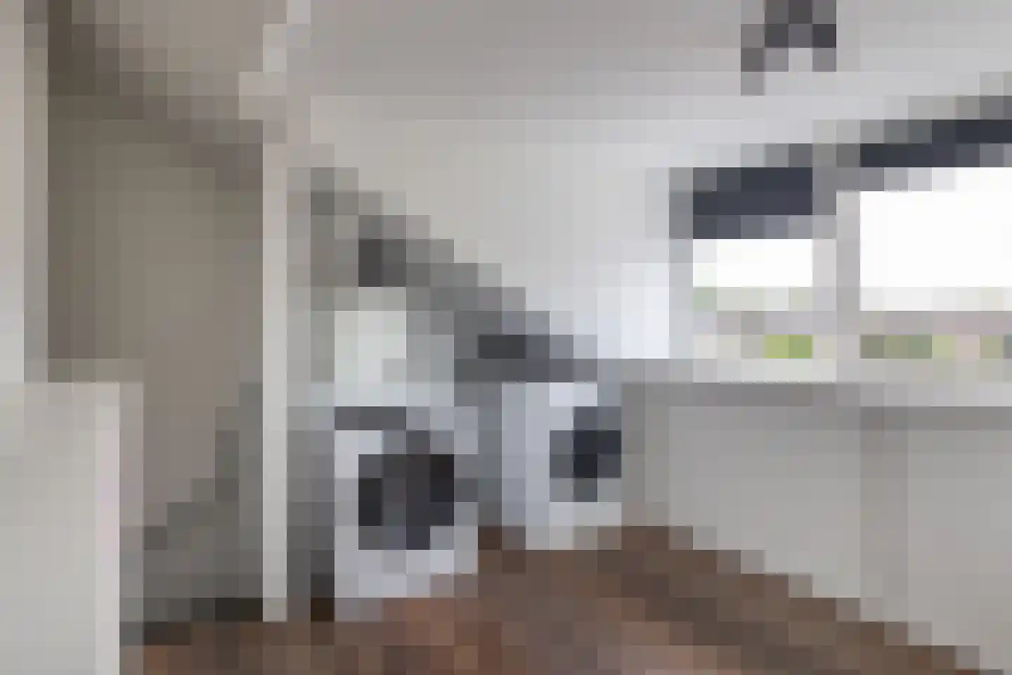 Crocushof 21 Schijndel thumbnail 22