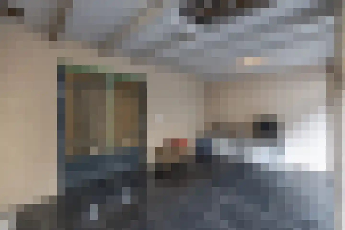 Crocushof 21 Schijndel thumbnail 26