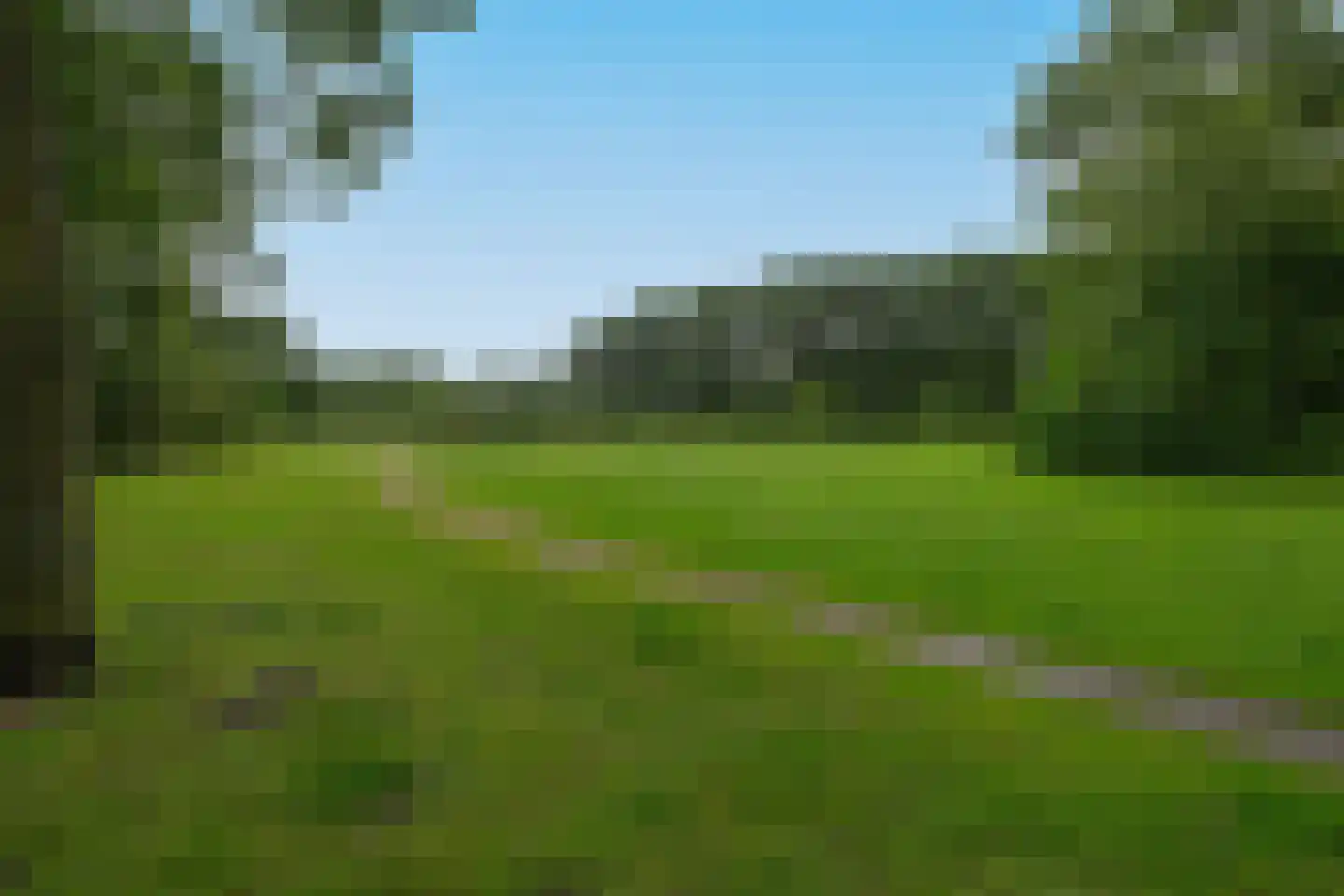 Crocushof 21 Schijndel thumbnail 31