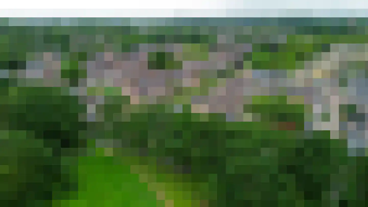Crocushof 21 Schijndel thumbnail 33