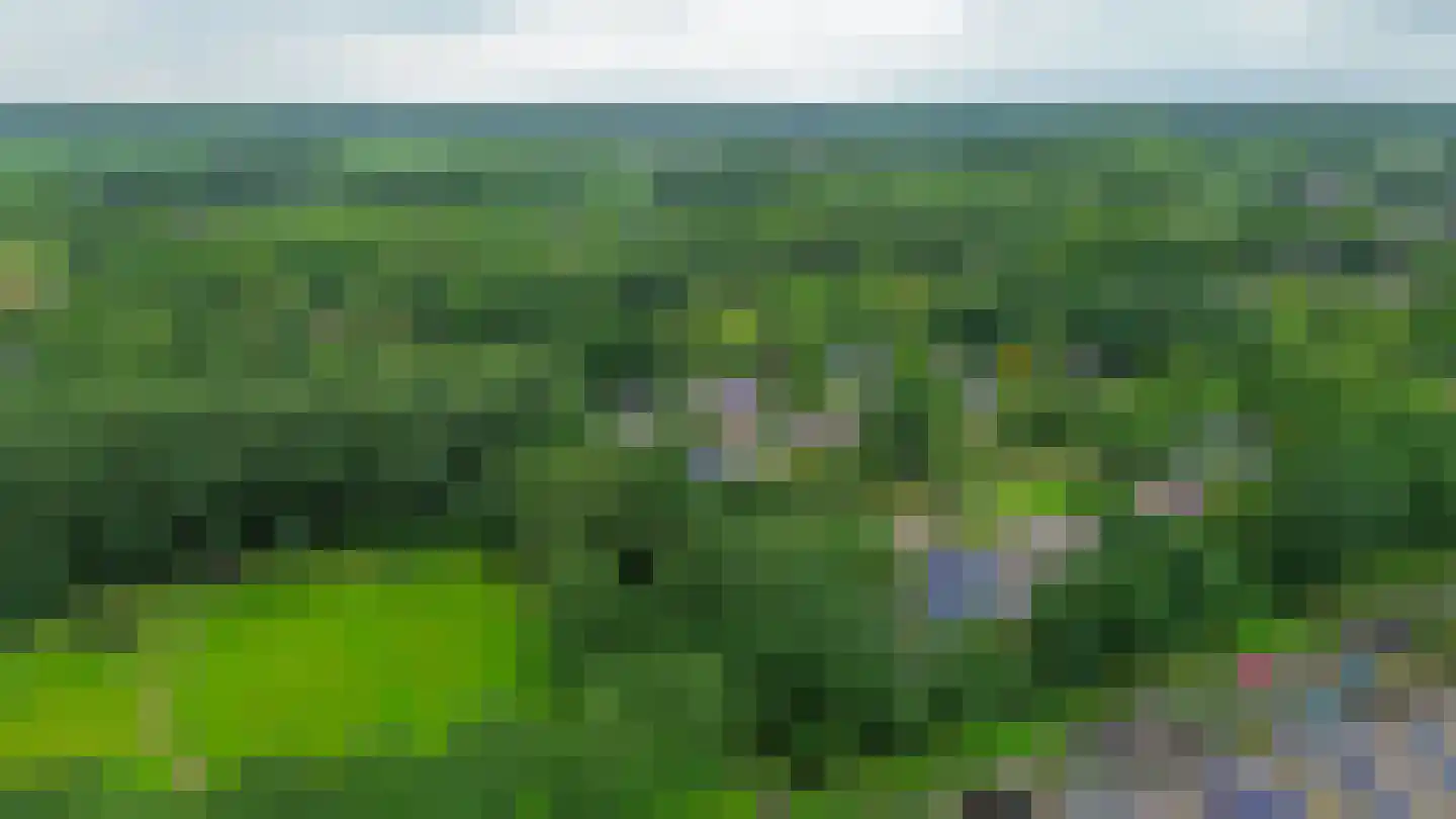 Crocushof 21 Schijndel thumbnail 34