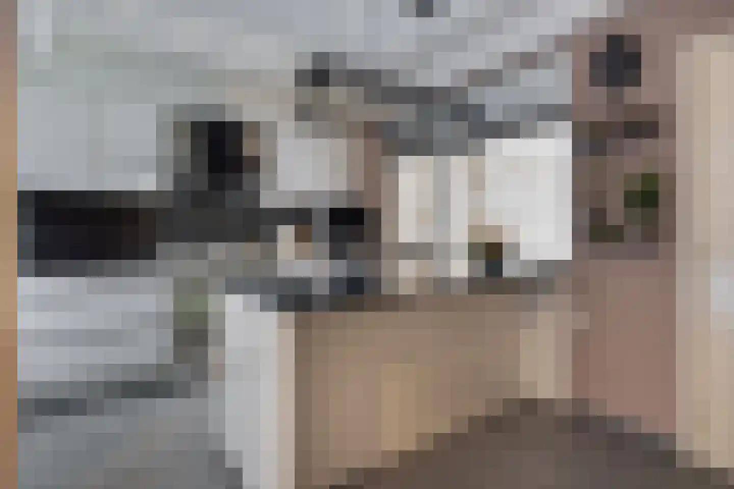 Crocushof 21 Schijndel thumbnail 8