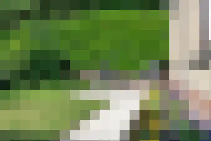 Crocuslaan 2 A Valkenswaard thumbnail 24