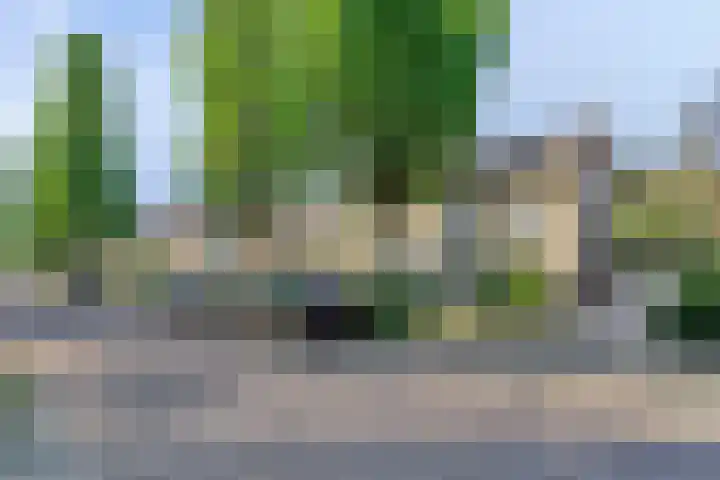 Crocuslaan 2 A Valkenswaard thumbnail 29